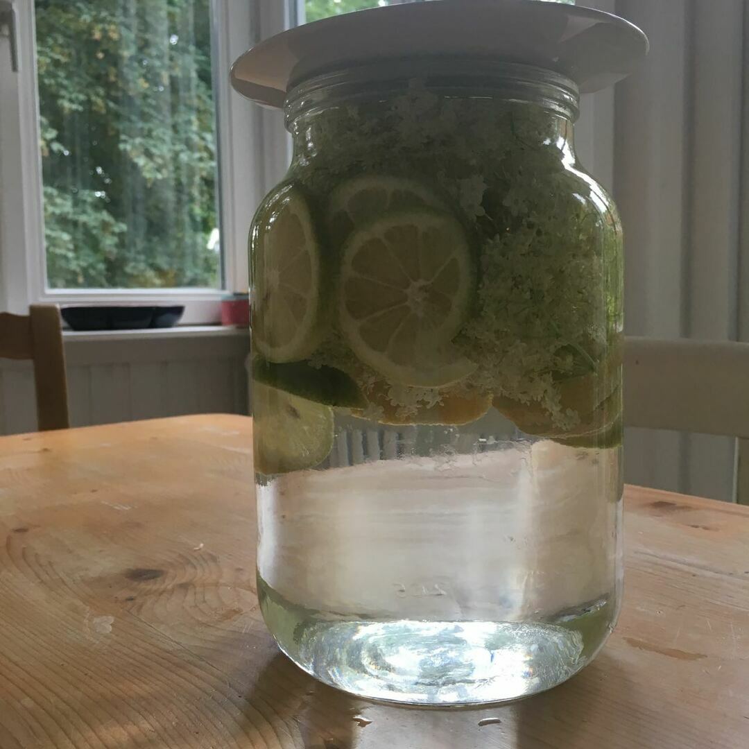 holunderblutensaftrezept.jpg FRISCHER HOLUNDERBLÜTENSAFT