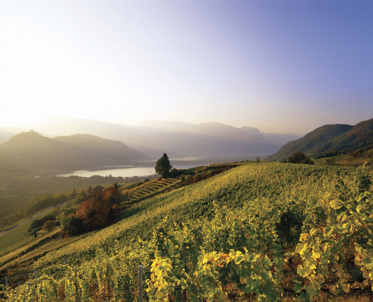 Törggelen in Südtirol Törggelen in Südtirol: Termine und Reisetipps