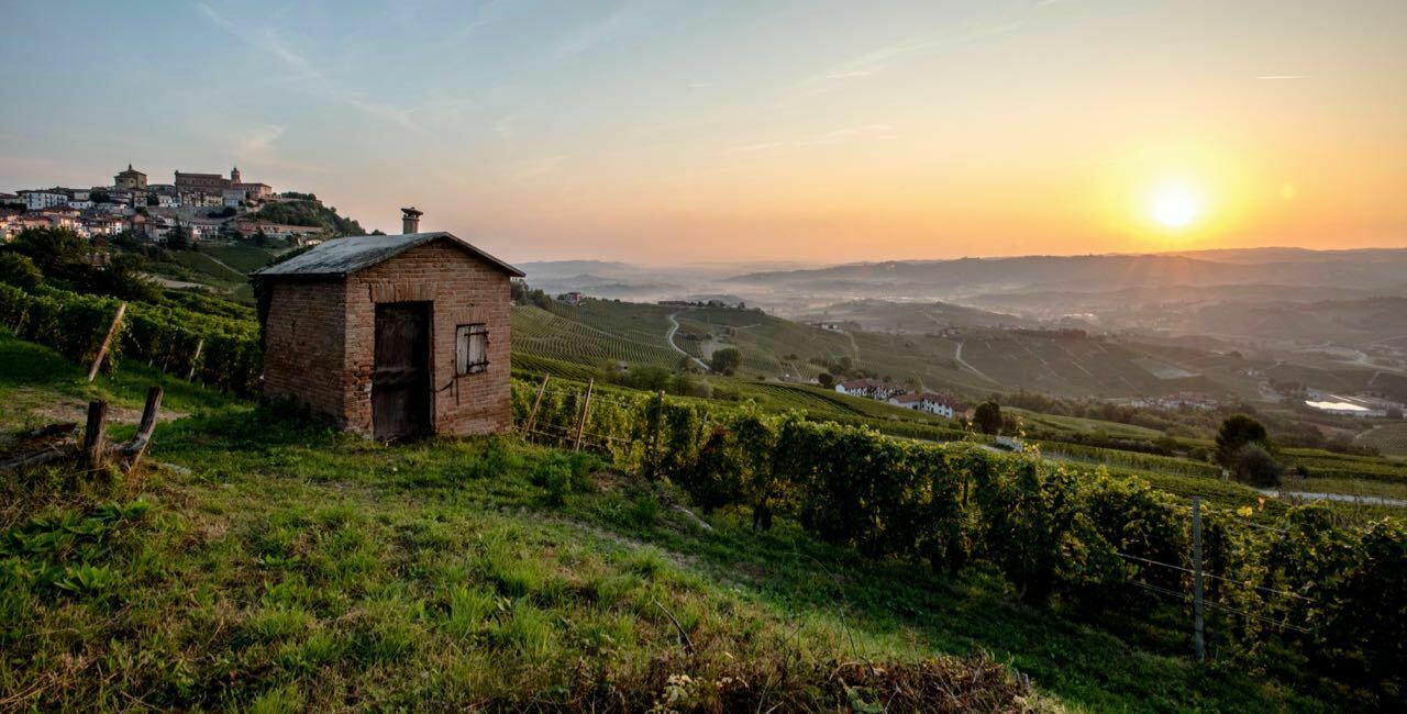 truffel1.jpg DER NOBLE NEBBIOLO